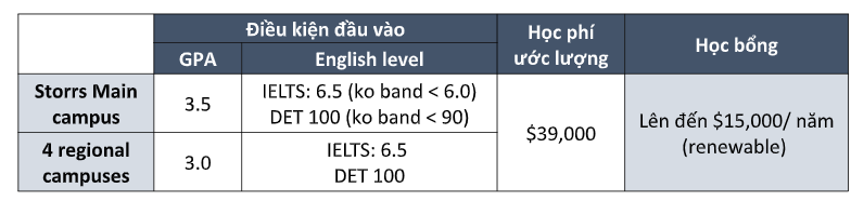 Trường University of Connecticut - Mỹ