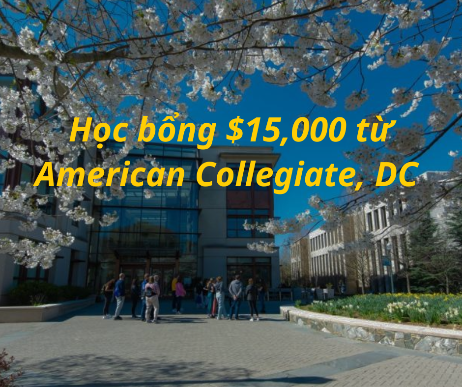 Học bổng $15,000 trường American Collegiate, DC - Mỹ 2024