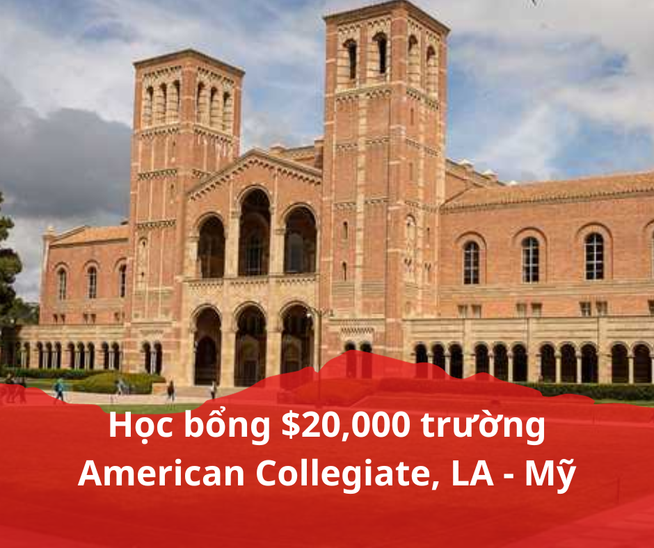 Học bổng $20,000 trường American Collegiate, LA - Mỹ 2024