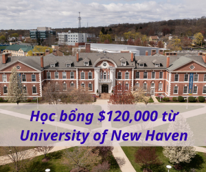 University of New Haven - The Princeton Review College Rankings