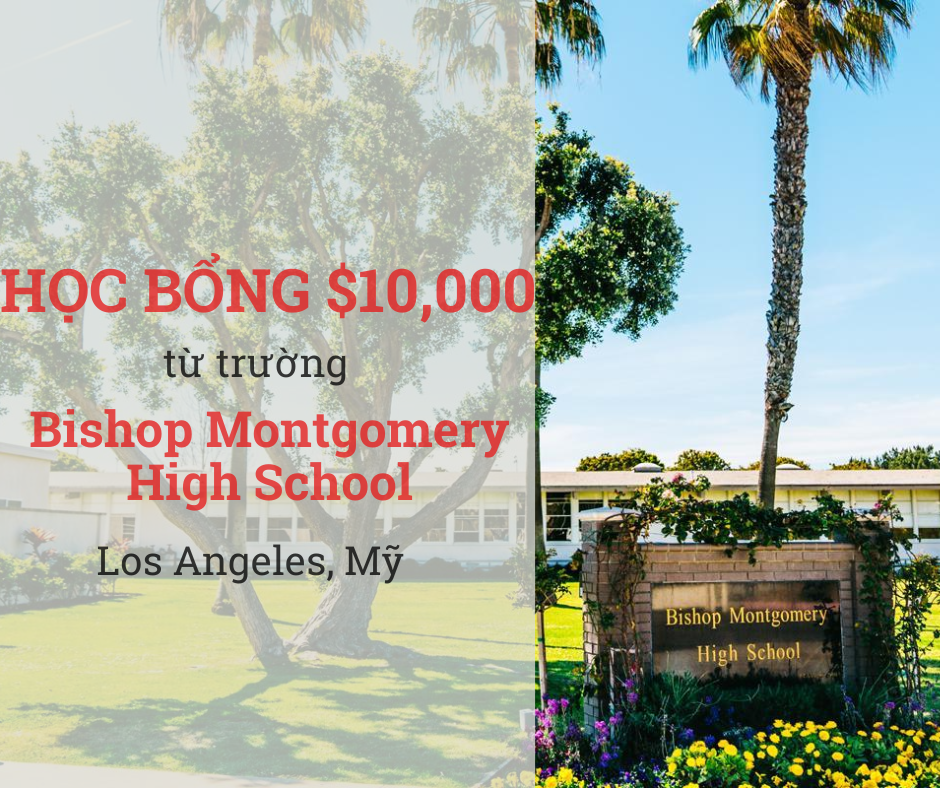 Học bổng CATS Academy Boston - Trung học Nội trú Cao cấp - VNTalent