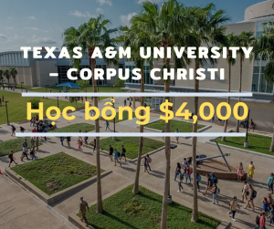 Học bổng $4,000 trường Texas A&M University – Corpus Christi, Mỹ 2024