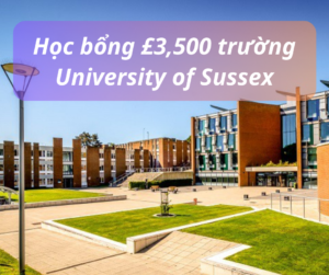 Học bổng £3,500 trường University of Sussex, Anh 2024
