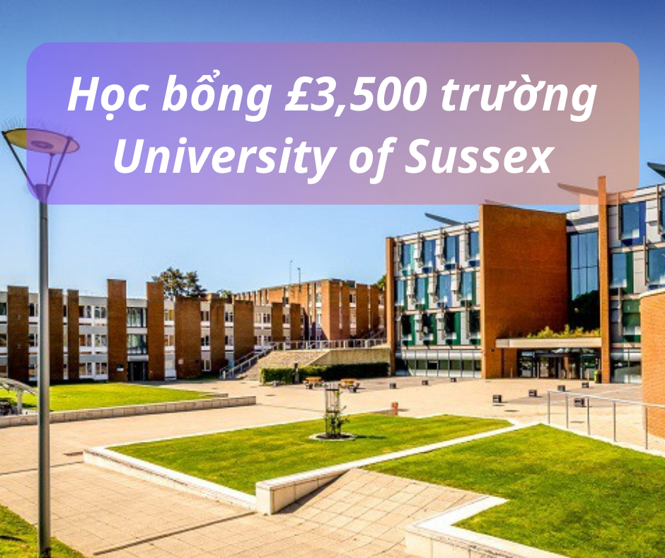 Học bổng £3,500 trường University of Sussex, Anh 2024