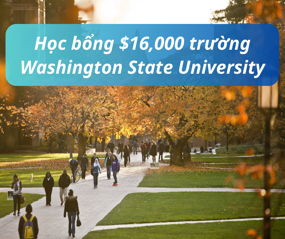 Học bổng $16,000 trường Washington State University, Mỹ 2024