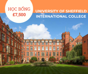 Học bổng £7,500 trường University of Sheffield International College, Anh 2024