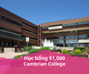 Học bổng 1000$ Cambrian College - Hoàn thành chương trình Bachelor of Business Administration (GBBA) trong vòng 3 năm