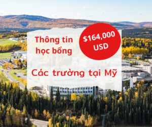 Thông tin học bổng các trường ở Mỹ 2024
