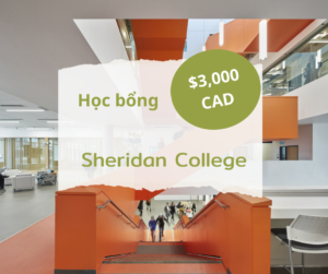 Học bổng $3,000 CAD trường Sheridan College, Canada 2024