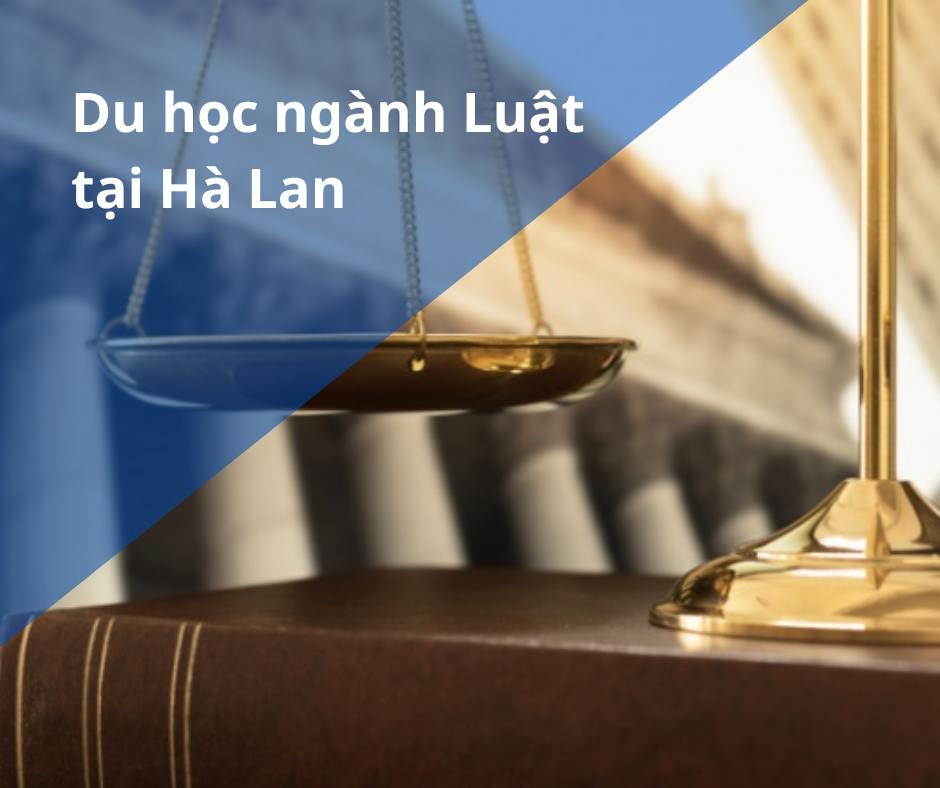 Du học Hà Lan ngành Luật - "Thủ đô công lý thế giới"