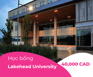 Học bổng 40,000 CAD/4 năm trường Lakehead University, Canada 2024