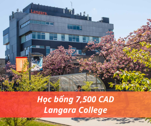 Học bổng 7,500 CAD trường Langara College, Canada 2024