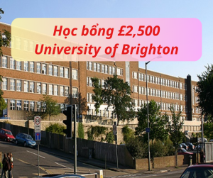 Thông tin trường University of Brighton, Anh 2024