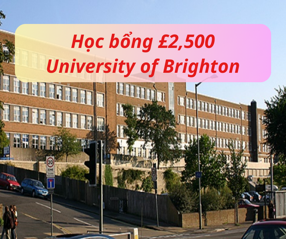 Thông tin trường University of Brighton, Anh 2024