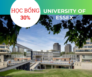 Học bổng 30% trường University of Essex, Anh 2025