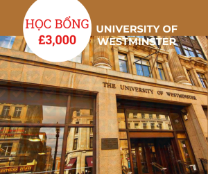 Trường University of Westminster, Anh 2025