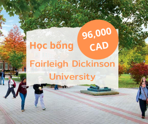 Học bổng 96,000 CAD trường Fairleigh Dickinson University, Canada 2025