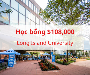 Học bổng $108,000 trường Long Island University, New York - Mỹ 2025