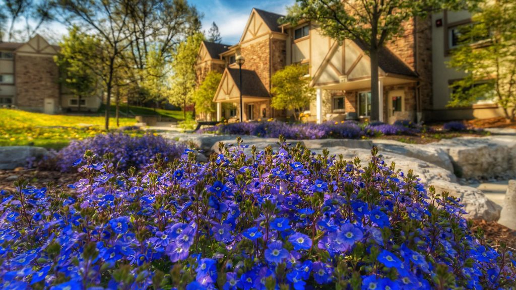 Trường King's University College tại Western University, Canada 2025