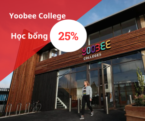 Học bổng 25% trường Yoobee College, New Zealand 2025
