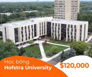 Học bổng $120,000 trường Hofstra University, New York - Mỹ 2025